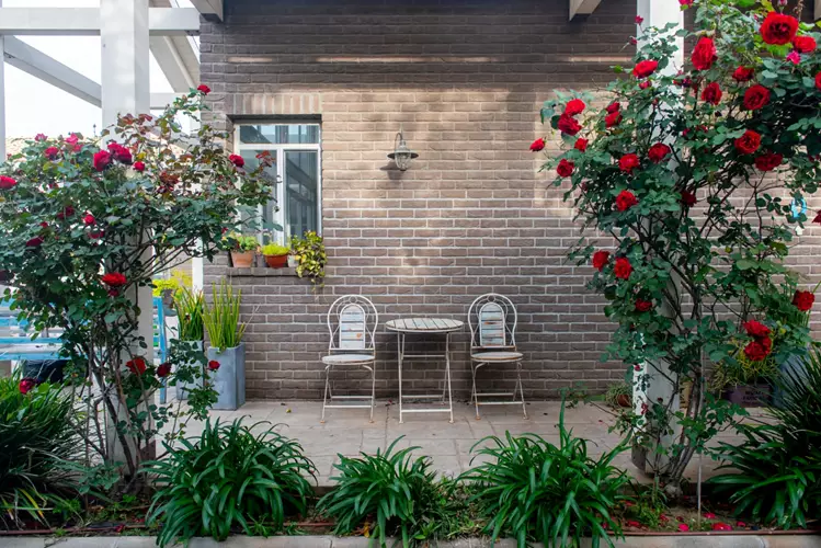 תכנון והקמת גינה מאפס 4